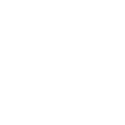 The Newgrounds logo
