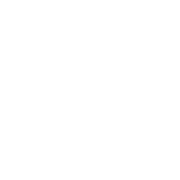The Steam logo